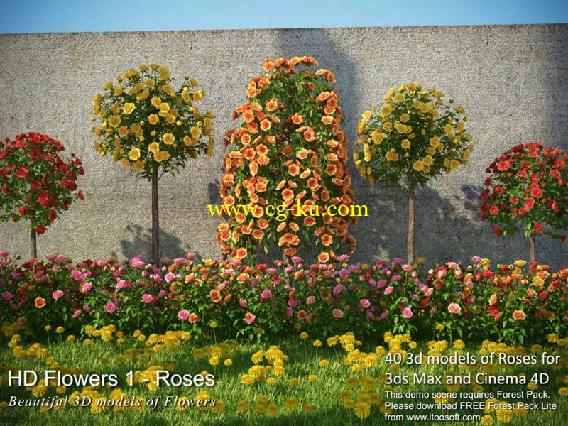 3dmentor.ru - hd flowers 1的图片1