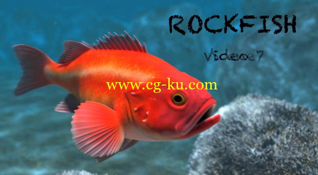 Rockfish_ A Complete modo 601 Project的图片1