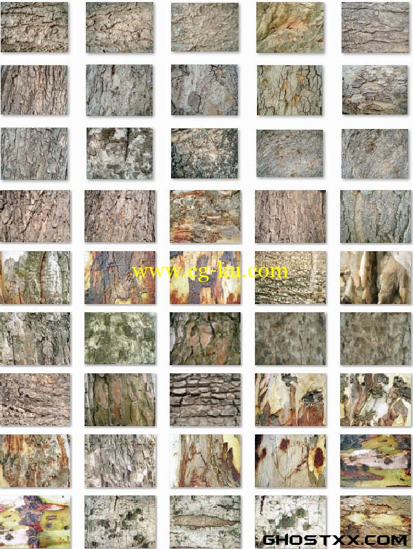 mightydeals - Tree Bark textures set1的图片1