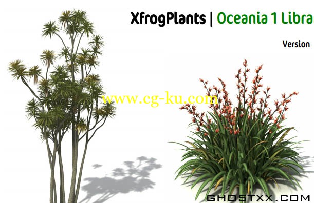 Xfrog 大洋洲植物模型库的图片1