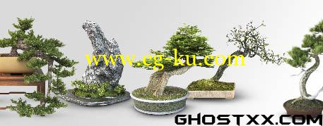 VizPeople - Free Bonsai Trees的图片1