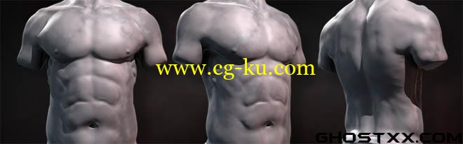 Digital Tutors - Sculpting Human Torsos in ZBrush的图片1