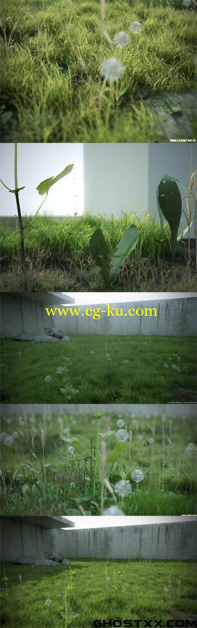 ExorbitArt - Real Ground Plants V1.1 - 3dsmax + C4D的图片1