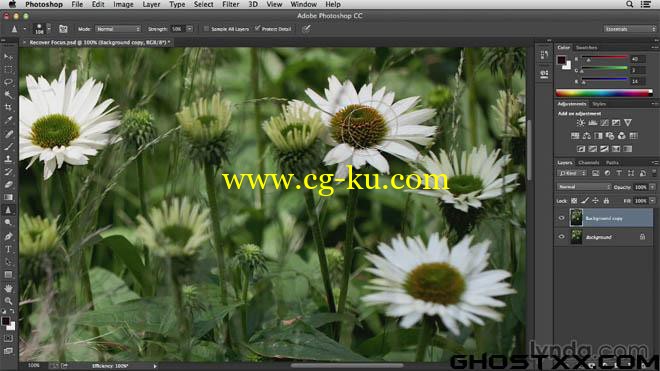 Lynda - Noise Reduction and Sharpening in Lightroom and Photoshop的图片1