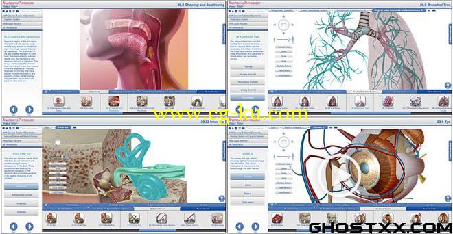 Visible Body - Anatomy and Physiology的图片1