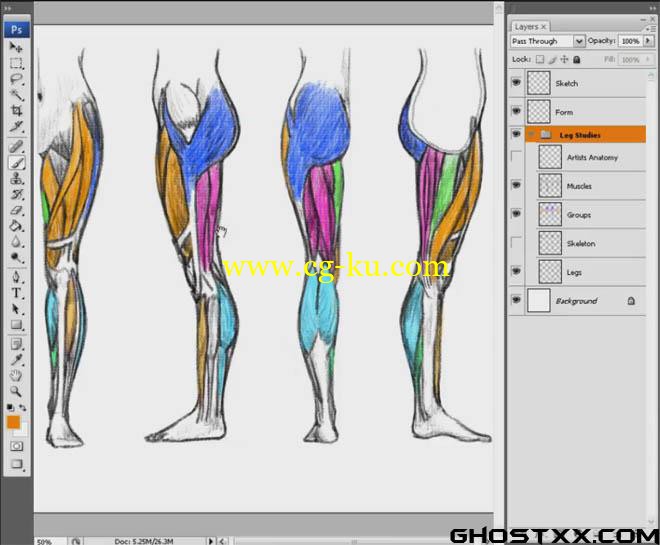 Digital Tutors - Drawing the Lower Body的图片1