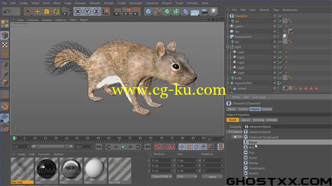 cinema4D.ws - professional training - squirrel的图片1