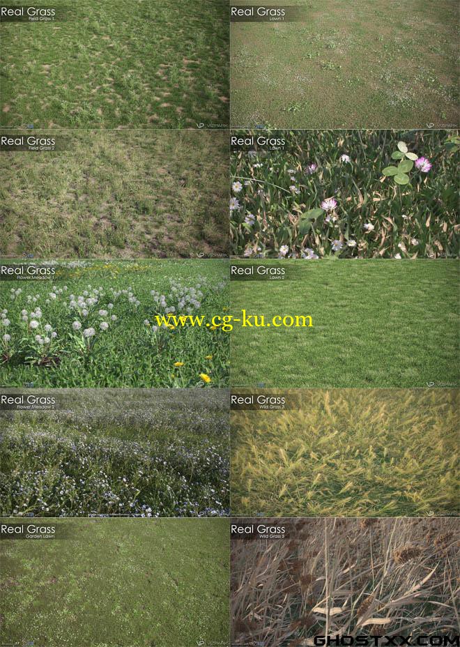 VIZPARK Real Grass的图片1