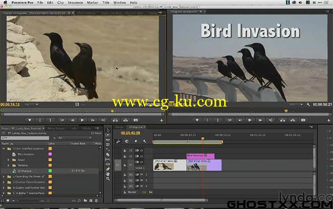 lynda - PremierePro CC Up 2014.4的图片1