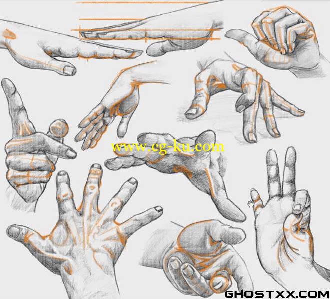 training course - Drawing the Arm & Hand的图片1