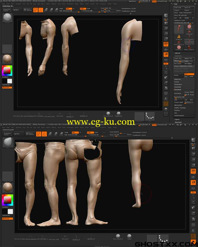 ZBrushworkshops - Fundamentals Of Anatomy Arm And Leg的图片1