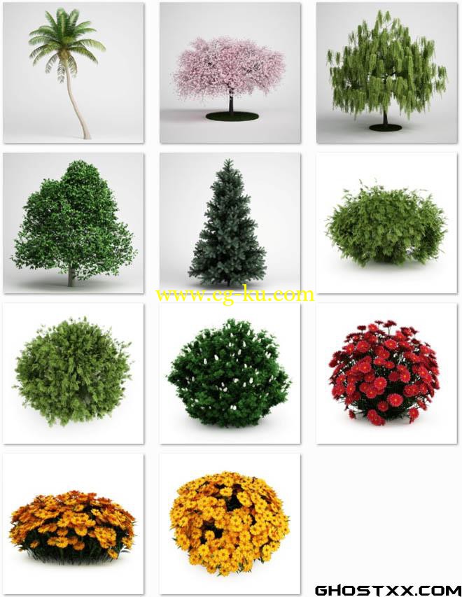 CGAxis Models Volume 19 Garden Plants的图片1