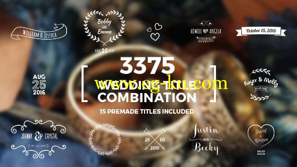 AE模板：优雅简洁小清新浪漫婚礼新人名字日期文字标题动画展示效果的图片1