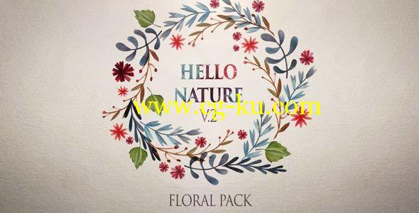 AE模板：植物花藤自然生长动画工具包 Floral Pack v2的图片1