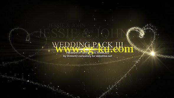AE模板：漂亮金色线条心型粒子浪漫婚礼图文片头展示包装 Wedding的图片1