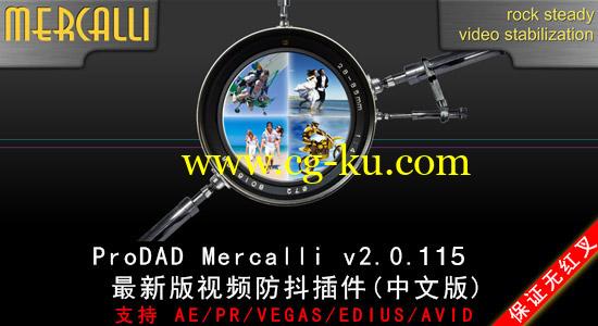 AE/PR/Vegas/Edius/Avid 视频稳定防抖插件 ProDAD Mercalli v2.0.126.1的图片1