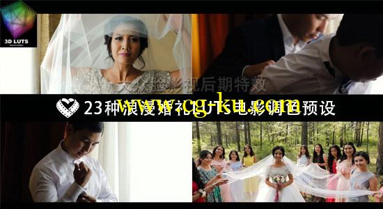 23种浪漫唯美婚礼 LUTs 电影调色预设 LAPARDIN WEDLUTS的图片1