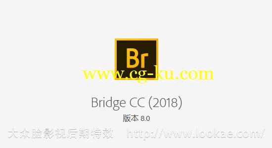 资源管理软件 Adobe Bridge CC 2018 中文/英文破解版 Win/Mac的图片2