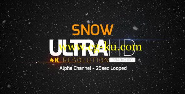 视频素材：冬天下雪场景雪花飘落循环动画 4K带通道 Snow的图片1