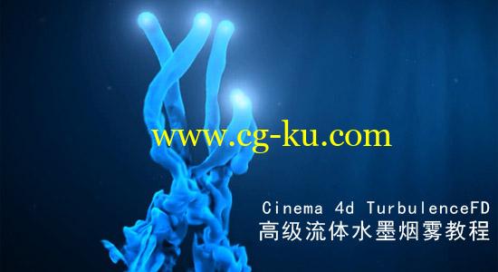 C4D高级流体水墨烟雾教程 Cinema 4d TurbulenceFD的图片1