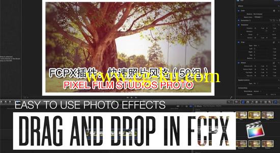 FCPX插件：画面快速照片风格（50组）PIXEL FILM STUDIOS PROTO的图片1