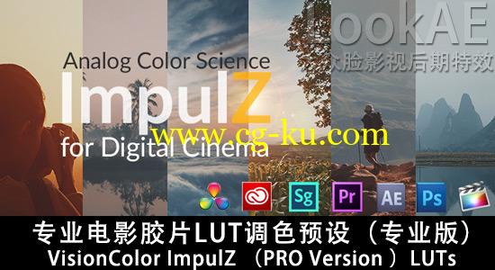 专业电影胶片LUT调色预设（专业版）VisionColor ImpulZ LUTs PRO Version的图片1