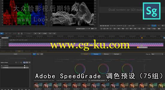 【Mac/Win】Adobe SpeedGrade 调色预设（75组）支持Pr的图片1