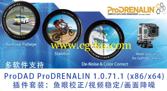 插件套装：鱼眼校正/视频稳定/调色降噪ProDAD ProDRENALIN 1.0.71.1的图片1