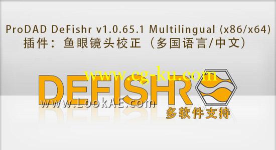 插件：鱼眼镜头校正ProDAD DeFishr v1.0.65.1 Multilingual (x86/x64)的图片1