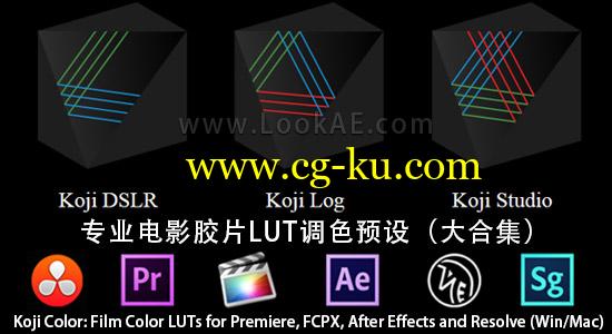 专业电影胶片LUT调色预设Koji Color: Film Color LUTs for Premiere, FCPX, After Effects and Resolve (Win/Mac)的图片1