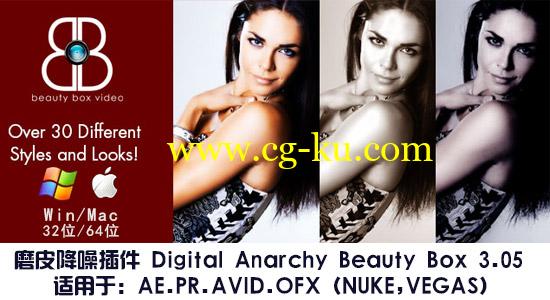 更新：AE/PR磨皮降噪插件 Digital Anarchy Beauty Box v4.0（Win版）的图片1