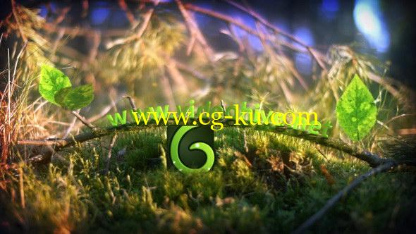 AE模版：春意盎然万物复苏树叶生长标志LOGO展示的图片1