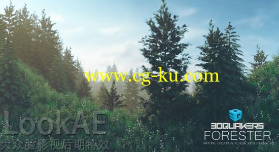 C4D插件：花草树木等植物生长动画插件 3DQuakers Forester 1.1.0 for Cinema 4D的图片1