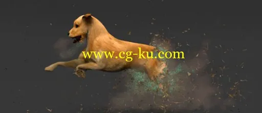 NoorVFX – Dog FX in Maya的图片1