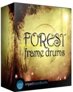 Impact Soundworks - Forest Frame Drums的图片1