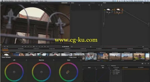 Ripple Training - DaVinci Resolve Creative Looks的图片1