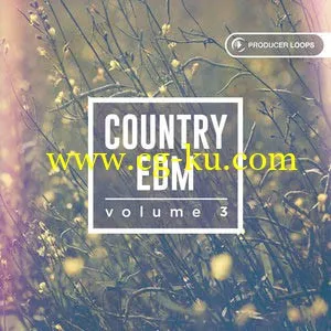 Producer Loops Country EDM Vol 3 MULTiFORMAT的图片1