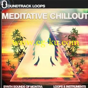 音乐音效下载Soundtrack Loops Meditative Chillout WAV Ni MASCHiNE的图片1