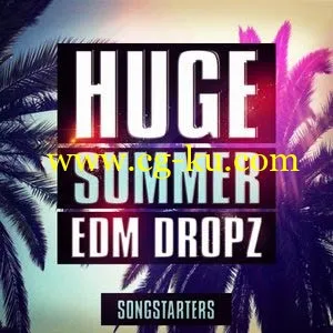 音乐音效下载Mainroom Warehouse Huge Summer EDM Dropz Songstarters WAV MiDi的图片1