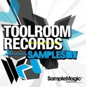 Sample MagicToolroom Records Samples 01 MULTiFORMAT-SYNTHiC4TE的图片1