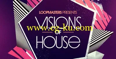 Loopmasters Visions Of House MULTiFORMAT的图片1