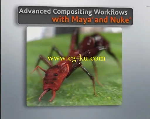 DT.Advanced.Compositing.Workflows.with.Maya.and.Nuke的图片1