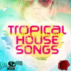 Fox Samples Must Have Audio Tropical House Songs WAV的图片1