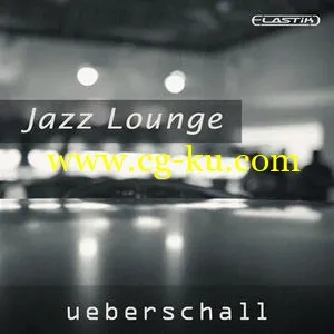 Ueberschall Jazz Lounge ELASTIK的图片1