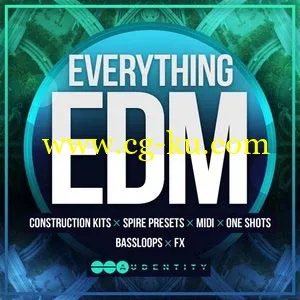 Audentity Everything EDM WAV MiDi SPiRE的图片1