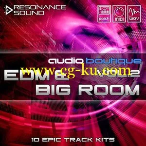 Resonance Sound Audio Boutique EDM and Big Room Vol 2的图片1