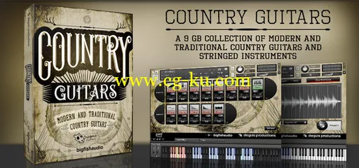 Dieguis Productions and Big Fish Audio Country Guitars的图片1