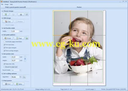 RonyaSoft Poster Printer的图片1