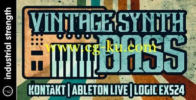 Industrial Strength Vintage Synth Bass MULTiFORMAT的图片1