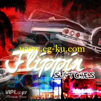 VIP Loops Flippin Switches MULTiFORMAT DVDR-DYNAMiCS的图片1